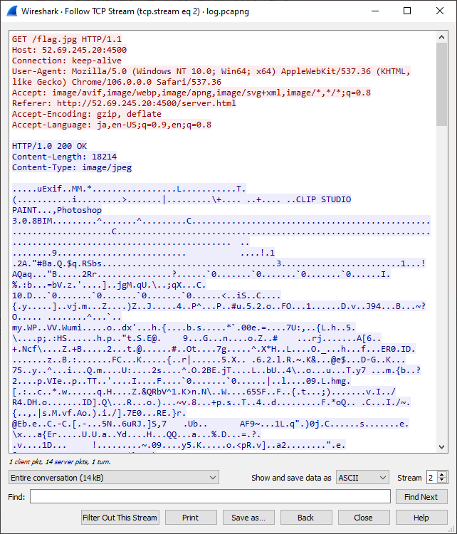 WaniCTF 2023 | Writeup for Forensics Challenges